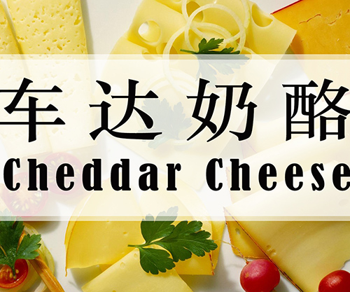 #֪ʶռ#  Cheddar cheese