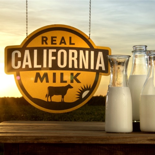 ��ϯ������飺������ƷЭ�ᣬ���������������й������з��ߴ���